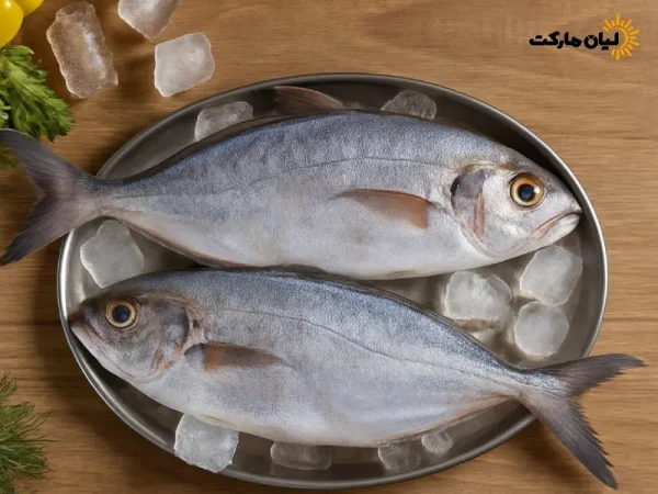 ماهی حلوا بوشهر